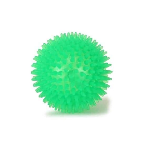 Basil-Spike-Squeaky-Ball-Toy-2.jpg