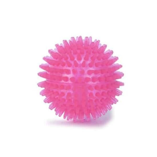 Basil-Spike-Squeaky-Ball-Toy.jpg
