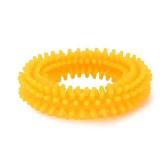 Basil-Spike-Teething-Chew-Ring-Toy-1.jpg Basil-Spike-Teething-Chew-Ring-Toy-1.jpg