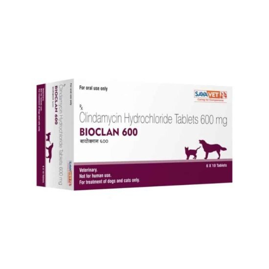 Bioclan-Clindamycin-Tablet-for-Dogs-and-Cats.jpg