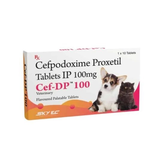 Cef-Dp-100-mg-Tablets.jpg