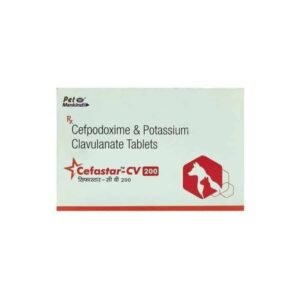 Cefastar-CV 200 Tablet