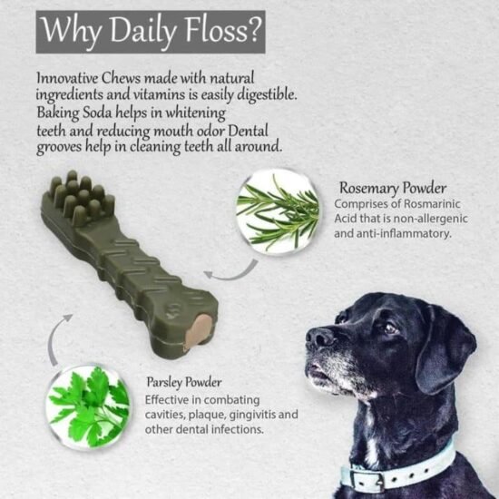 Daily-Floss-Toothpaste-Filled-Chew-Treat-for-Dogs-Puppies-2.jpg Daily-Floss-Toothpaste-Filled-Chew-Treat-for-Dogs-Puppies-2.jpg
