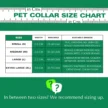 Dog_Collar_Size_Chart.webp