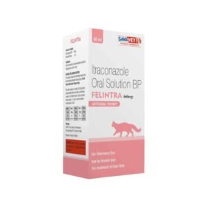 Felintra Itraconazole Oral Solution Cat