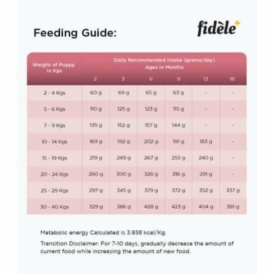 Fidele-Small-Medium-Breed-Puppies-Dry-Dog-Food-3.jpg Fidele-Small-Medium-Breed-Puppies-Dry-Dog-Food-3.jpg