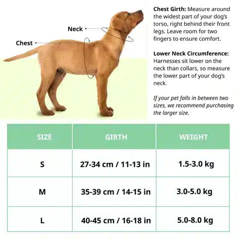 Harness_480x480.webp Harness_480x480.webp
