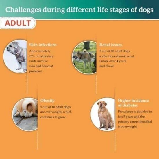 Himalaya-Healthy-Pet-Food-Meat-and-Rice-for-Adult-2.jpg Himalaya-Healthy-Pet-Food-Meat-and-Rice-for-Adult-2.jpg