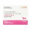 Ichmune-C-Cyclosporine-Tablet-25mg-for-Dogs.jpg