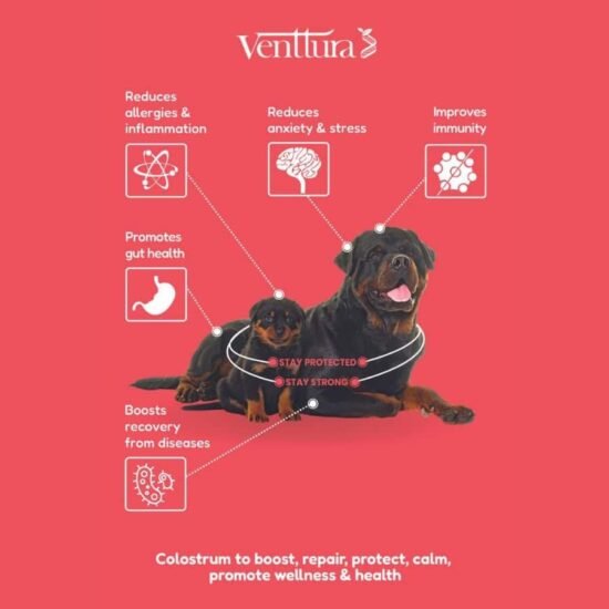 Immuno-spray-100ml-for-dogs-cats-3.jpg Immuno-spray-100ml-for-dogs-cats-3.jpg