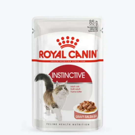 InstinctiveGravy-1.webp