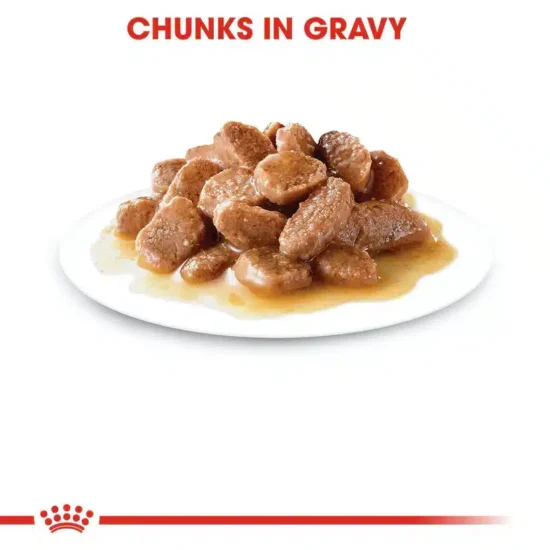 InstinctiveGravy-6.webp