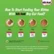 Kitekat-Ocean-Fish-Kitten-Dry-Food-4.jpg