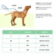 Leash_480x480.webp