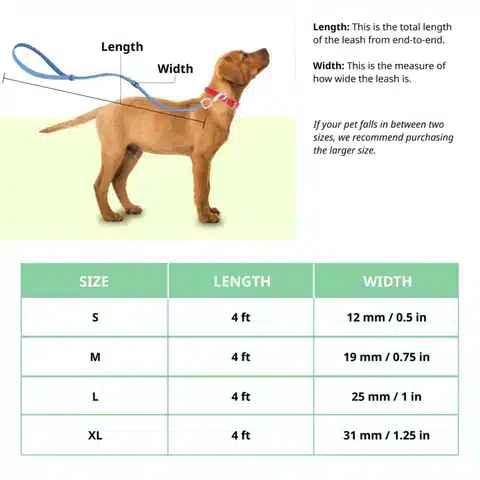Leash_480x480.webp Leash_480x480.webp