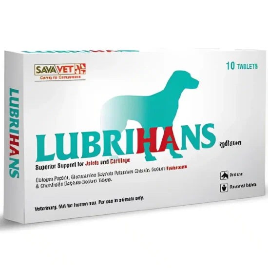 Lubrihans-Glucosamin-Chondroitin-Joint-Supplement-for-dogs_1_1_1_1800x1800-1.webp
