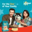 Mankind-Petstar-Chicken-and-Wheat-Adult-Dog-Dry-Food.-3.jpg