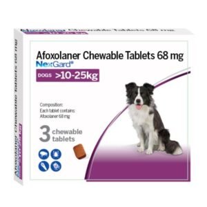 Nexgard 10-25kg Large Dog Tablet