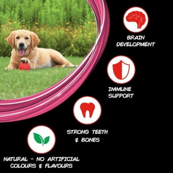 PURINA-SUPERCOAT-Puppy-Dry-Dog-Food-1.jpg