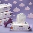 PawPaya-Pet-Wipes-For-Cats-Dogs-3.jpg