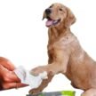 Petex-Soft-Pet-Wipes-For-Dogs-and-Cats-2.jpg