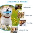 Petopia-Slipper-Bite-Resistant-Rubber-Dog-Chew-Toy-4.jpg