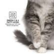 ProDiet-Adult-Ocean-Fish-Cat-Food-2.jpg
