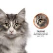 ProDiet-Adult-Ocean-Fish-Cat-Food-3.jpg