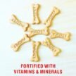 PurepetMilkFlavour_RealChickenBiscuit_DogTreats-Jar_905g3_500x@2x.jpg