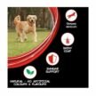 Purina-Supercoat-Adult-All-Breed-Chicken-Dog-Dry-Food-2.jpg