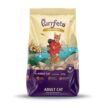 Purrfeto-Chicken-Salmon-Adult-Dry-Cat-Food.jpg