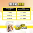 RiceinChickenFeedingGuide.webp