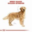 Royal-Canin-Golden-Retriever-Adult-for-dry-food-1-1.jpg