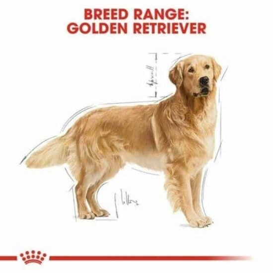 Royal-Canin-Golden-Retriever-Adult-for-dry-food-1-1.jpg Royal-Canin-Golden-Retriever-Adult-for-dry-food-1-1.jpg