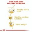 Royal-Canin-Golden-Retriever-Adult-for-dry-food-2.jpg