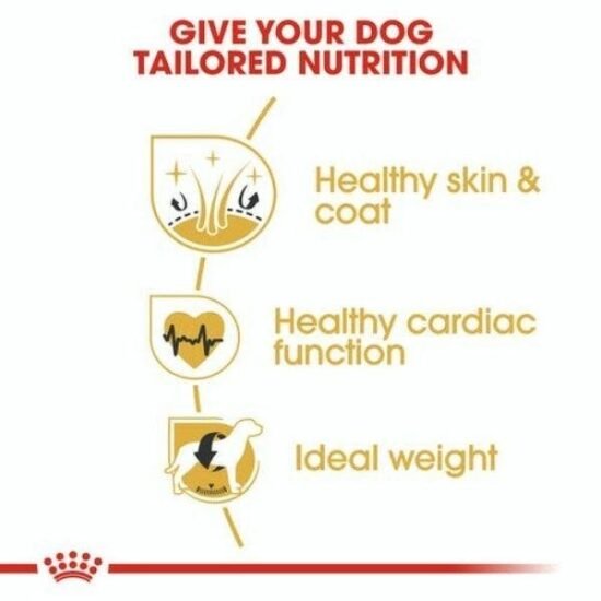 Royal-Canin-Golden-Retriever-Adult-for-dry-food-2.jpg Royal-Canin-Golden-Retriever-Adult-for-dry-food-2.jpg