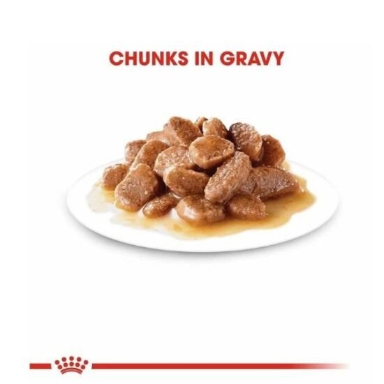 Royal-Canin-Intense-Beauty-Chunks-in-Gravy-Pouch-Pack-12-X-85g-4.jpg Royal-Canin-Intense-Beauty-Chunks-in-Gravy-Pouch-Pack-12-X-85g-4.jpg