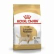 Royal-Canin-Labrador-Retriever-Adult-Dry-Food.jpg