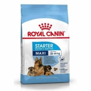 Royal Canin Maxi Starter Dry Dog Food