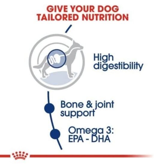 Royal-Canin-Maxi-breed-for-Adult-dry-food-2-1.jpg