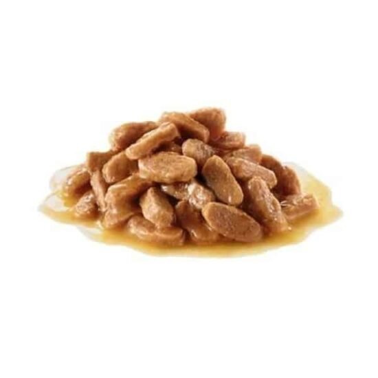 Royal-Canin-Maxi-breed-for-Puppy-Dry-Food-1.jpg Royal-Canin-Maxi-breed-for-Puppy-Dry-Food-1.jpg