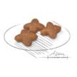 Royal-Canin-Mini-Adult-dry-Food-1.jpg