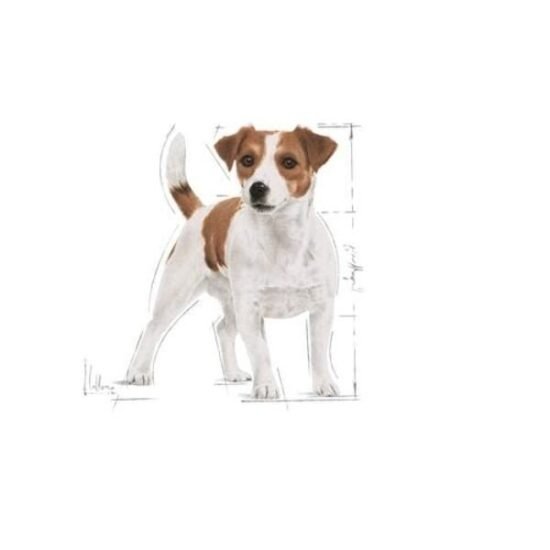 Royal-Canin-Mini-Adult-dry-Food-2.jpg