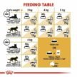 Royal-Canin-Persian-Cat-for-Adult-dry-food-5.jpg