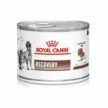 Royal-Canin-Recovery-Canned-Adult-Pet-Wet-Food.jpg