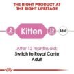 Royal-Canin-Second-Age-for-Kitten-Dry-Food-1.jpg