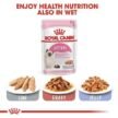 Royal-Canin-Second-Age-for-Kitten-Dry-Food-2.jpg