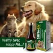 SAMe-Liv-Syrup-for-Dog-and-Cat-supplements-1.jpg