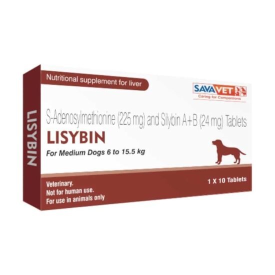 Savavet-Lisybin-Tablet-For-Medium-Dog.jpg Savavet-Lisybin-Tablet-For-Medium-Dog.jpg