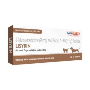 Savavet Lisybin Tablet For Dogs
